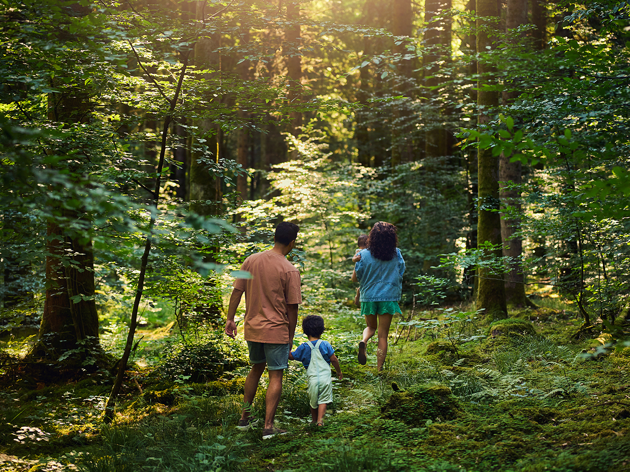 Nature Discovery - activity zone at Center Parcs Park allgau: Digital Nature Discovery