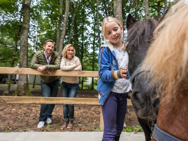Fun with Pony - service area at Center Parcs Erperheide: My Pony Moment