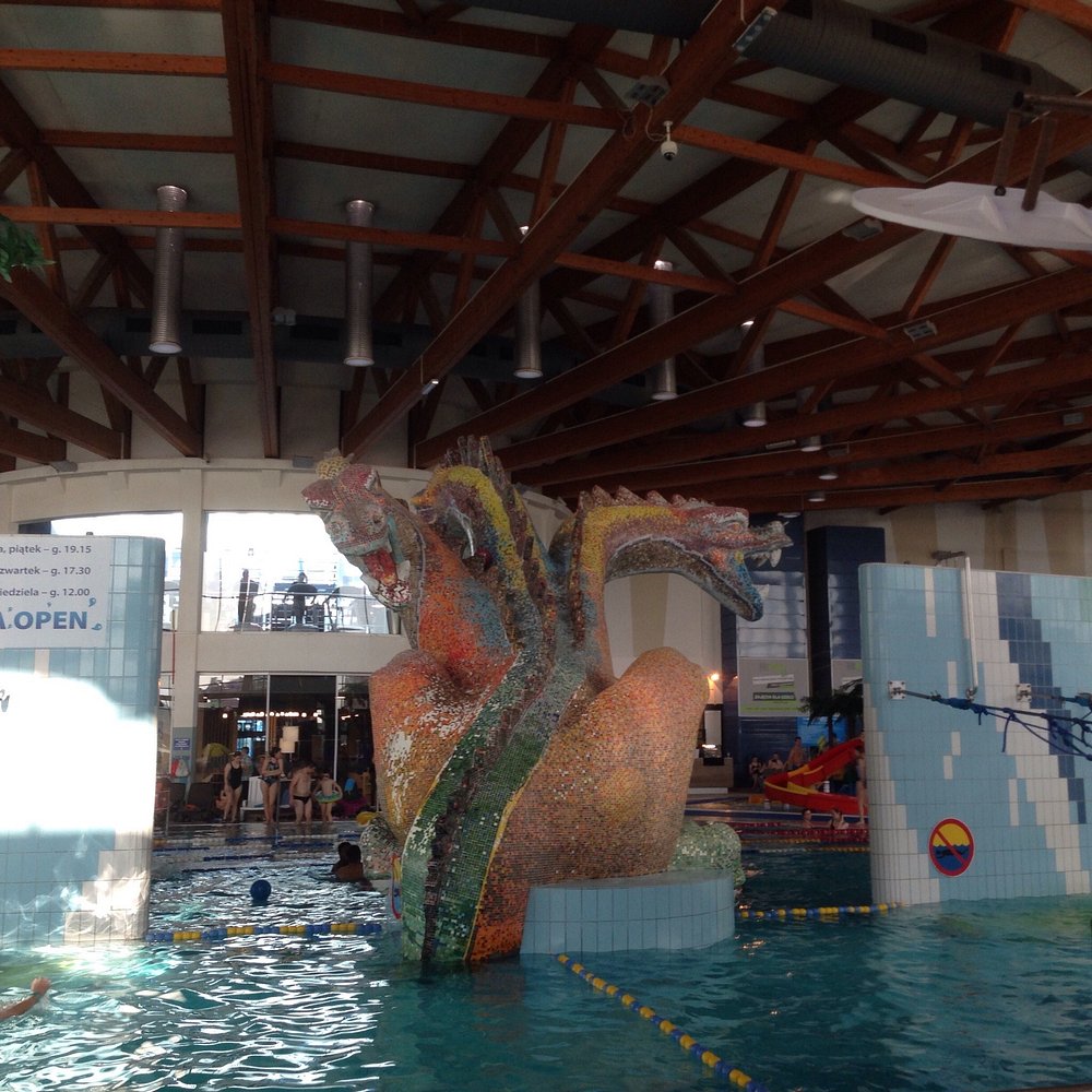 Recreational Pool  - swimming pool at Aquapark Kraków