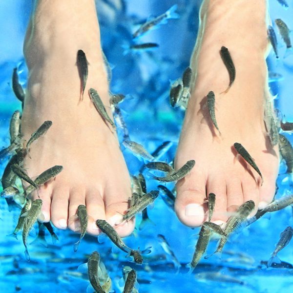 Fish SPA - wellness area at Aquapark Nesebar