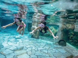 Aquapark Center Parcs Het Heijderbos