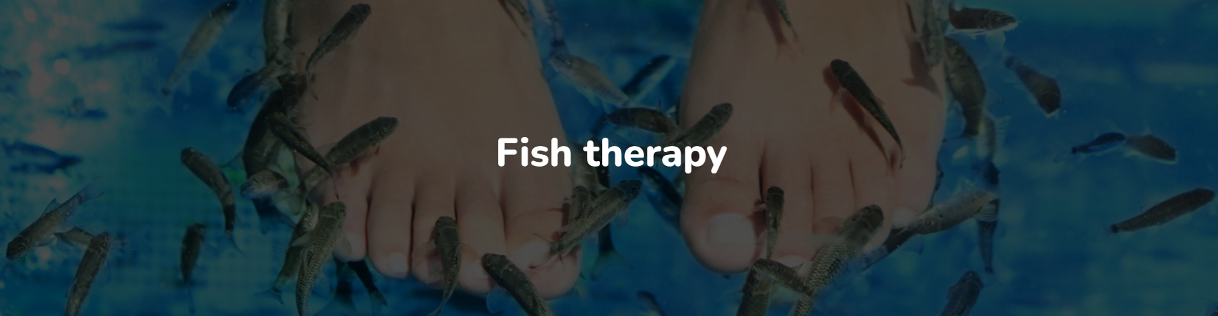 Fish therapy - wellness area at AquaCity Poprad