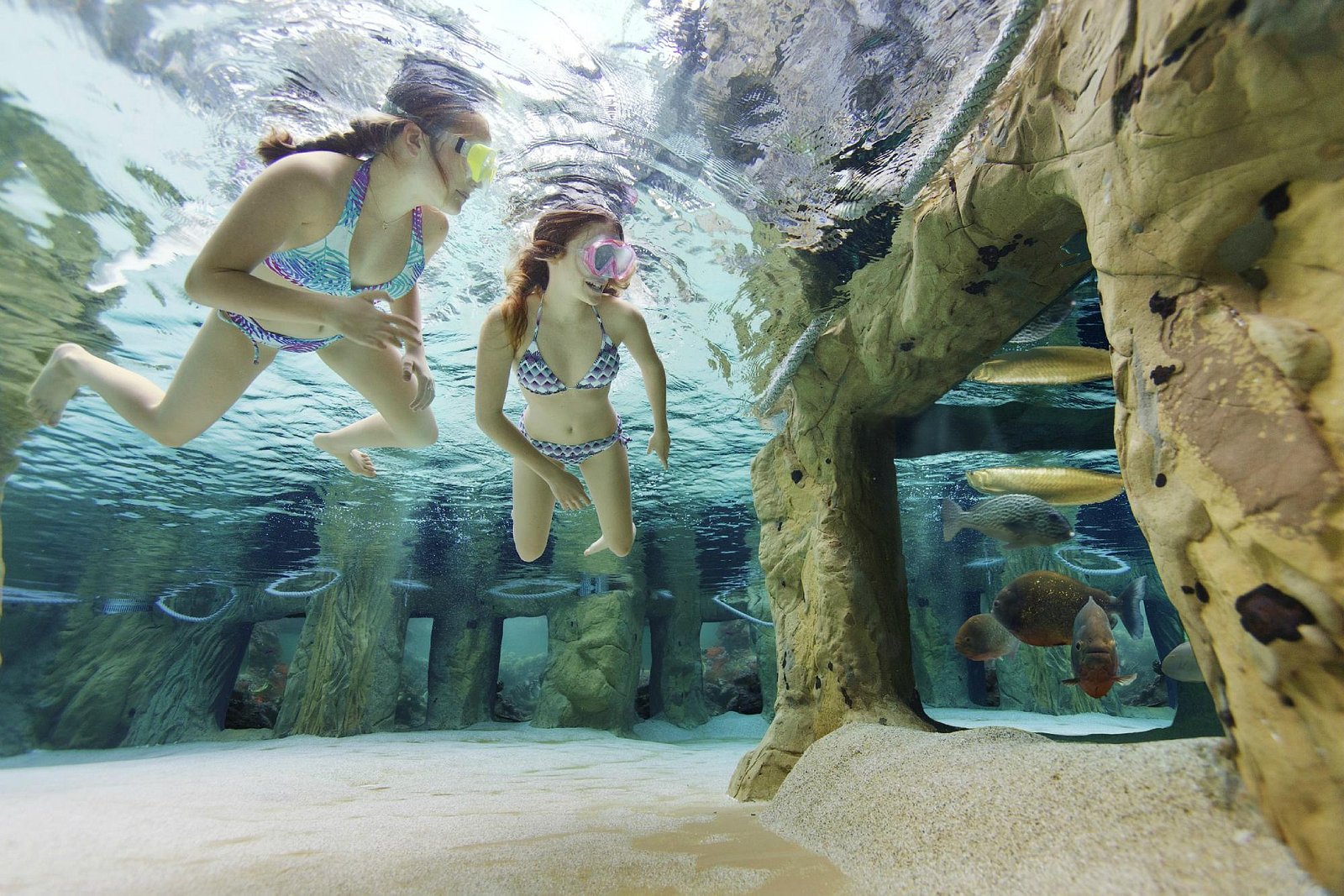 Aquapark Center Parcs Le Bois aux Daims