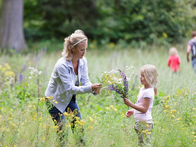 Closer to Nature - service area at Center Parcs Park Bostalsee: Nature Experience