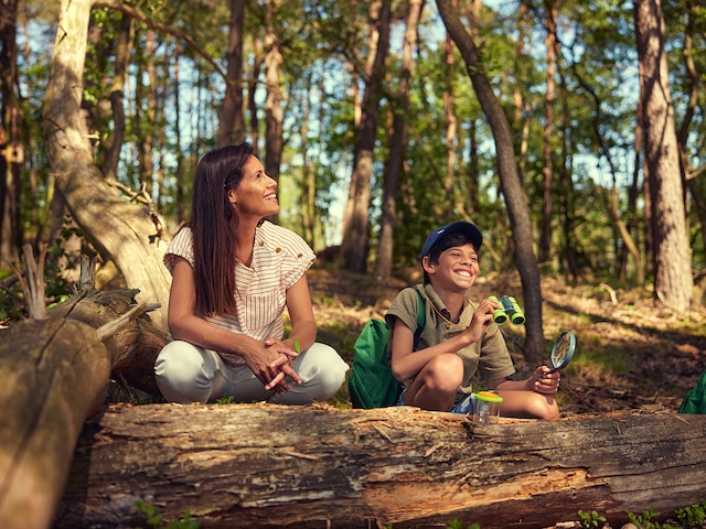 Closer to Nature - activity zone at Center Parcs De Huttenheugte: Family Rangers