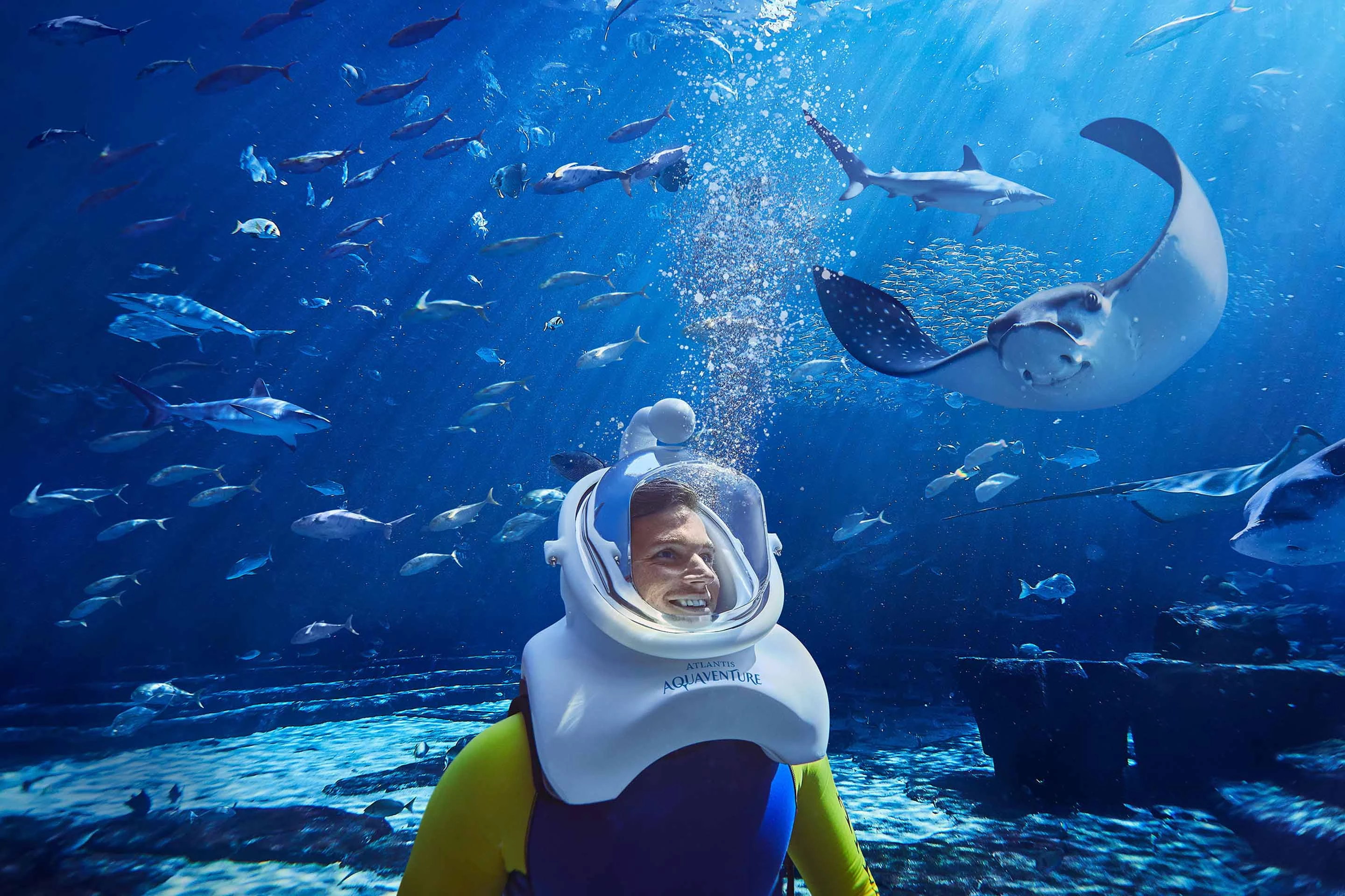 Ambassador Lagoon  - activity zone at Aquaventure World Dubai