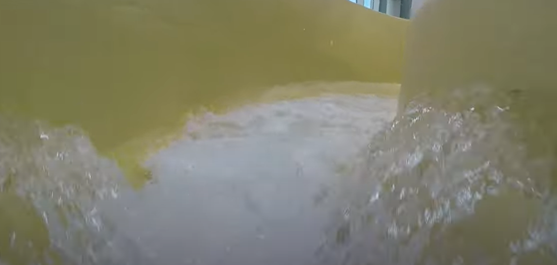 Wild water river - water slide at Center Parcs Park De Haan