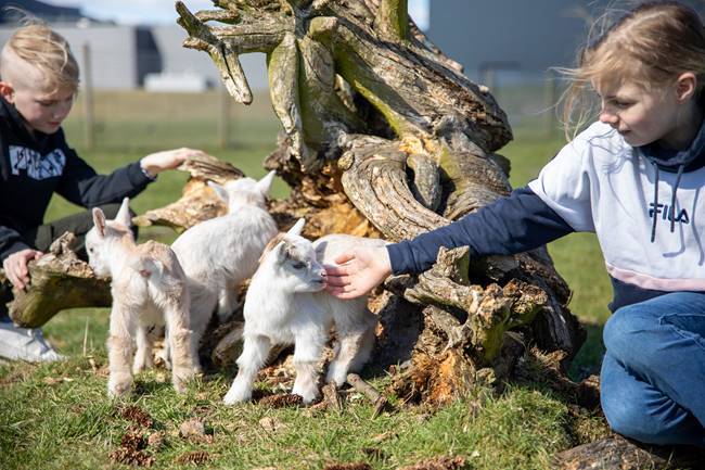 Outdoors - service area at Aquadome Billund