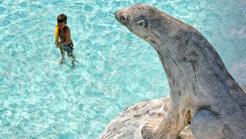 Antarctic Baby Beach - activity zone at Aquafan Riccione