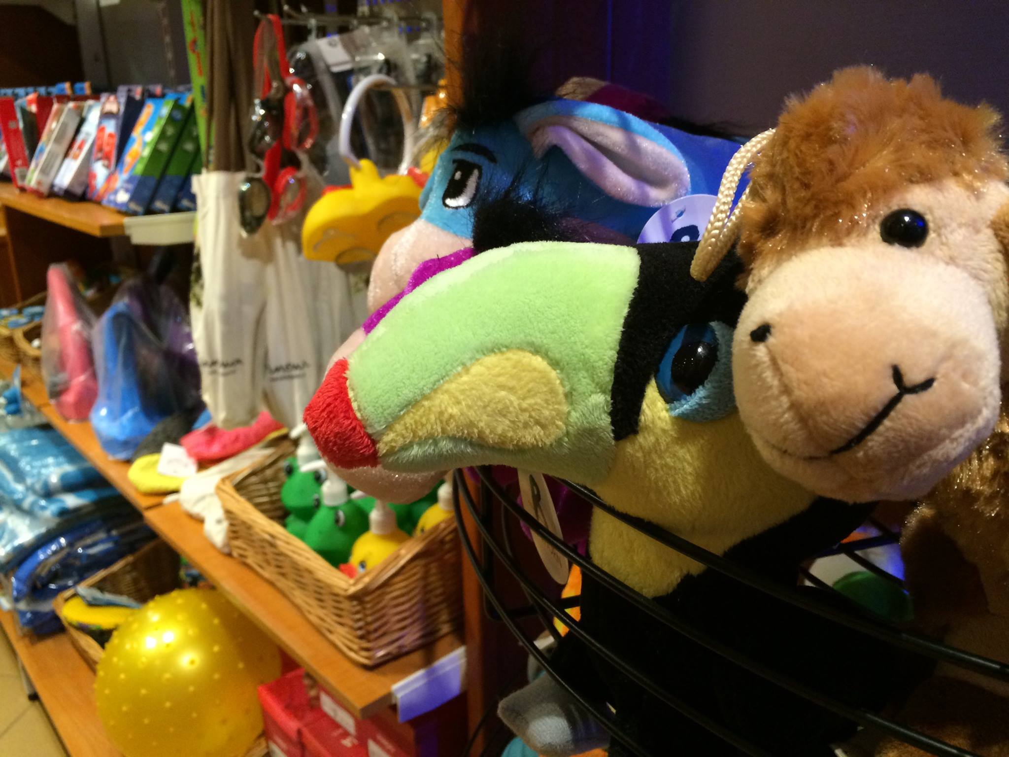 Shop - store at Tropiclandia