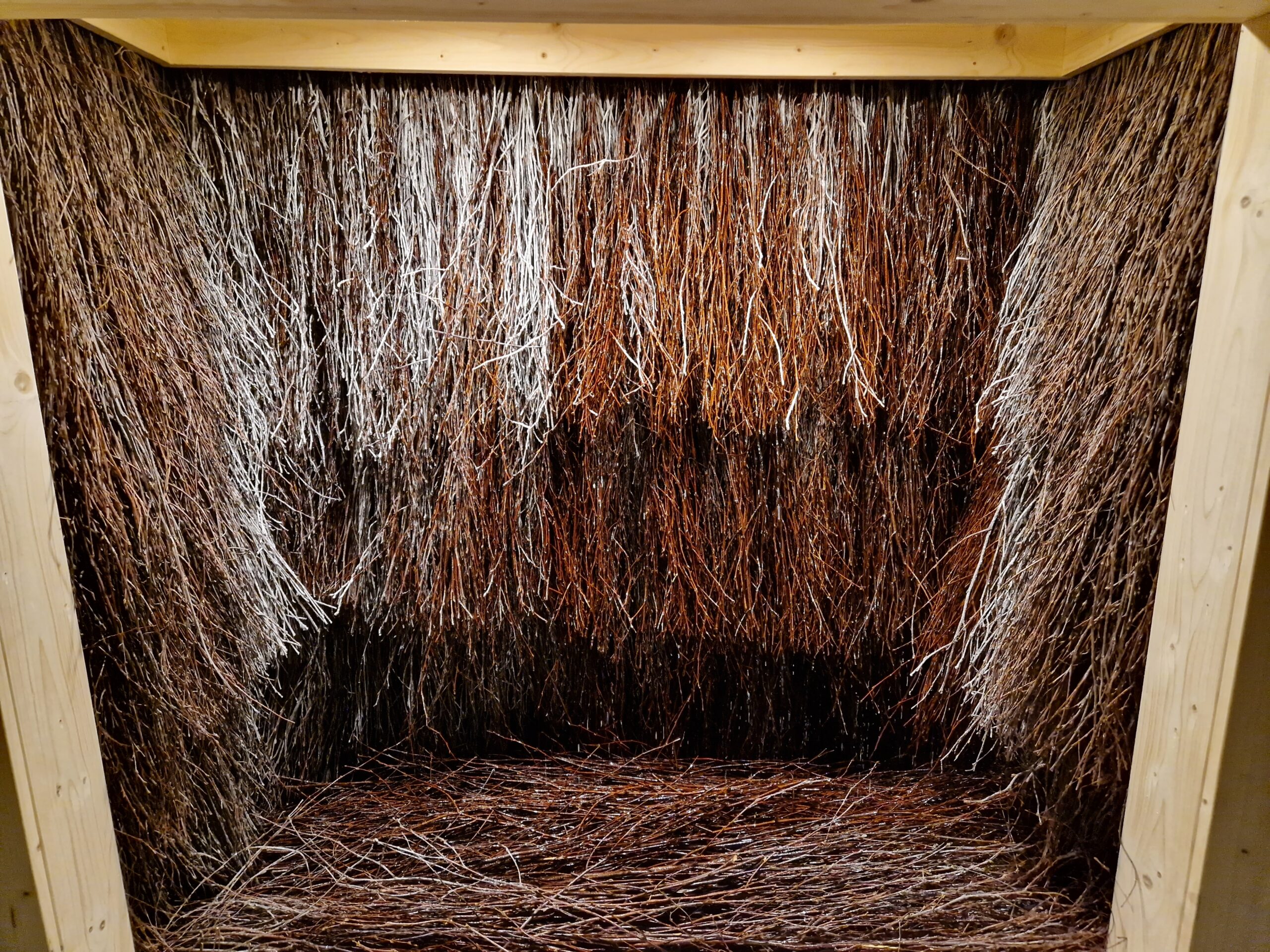 Halotherapy - wellness area at Aquapark Sopot