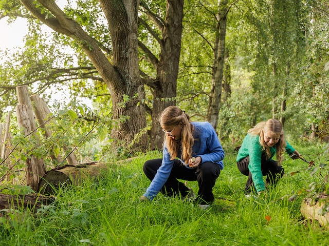 Nature Discovery - service area at Center Parcs Les Ardennes: Treasure hunt