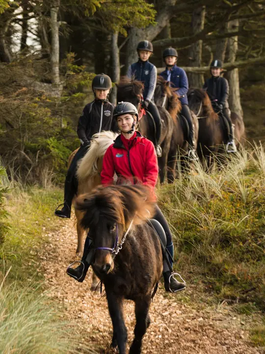 Horse Riding in Nature - service area at Fårup Sommerland Aquapark