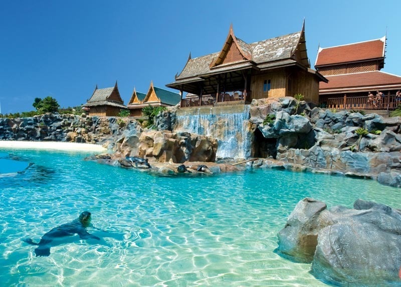The Tea House - restaurant (bistro) at Siam Park