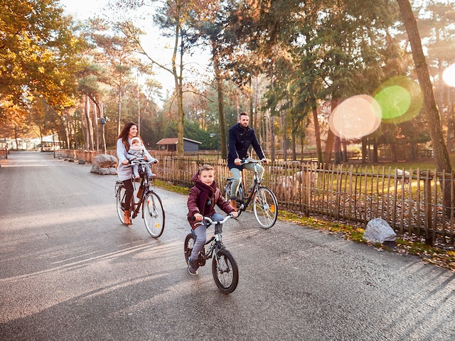 Bike Services - service area at Center Parcs Het Heijderbos: Gazelle bikes