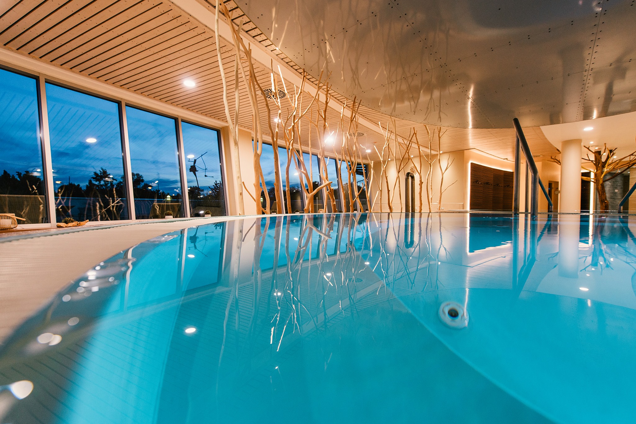 Indoor Plunge Pool - swimming pool at Nemo Magdeburh