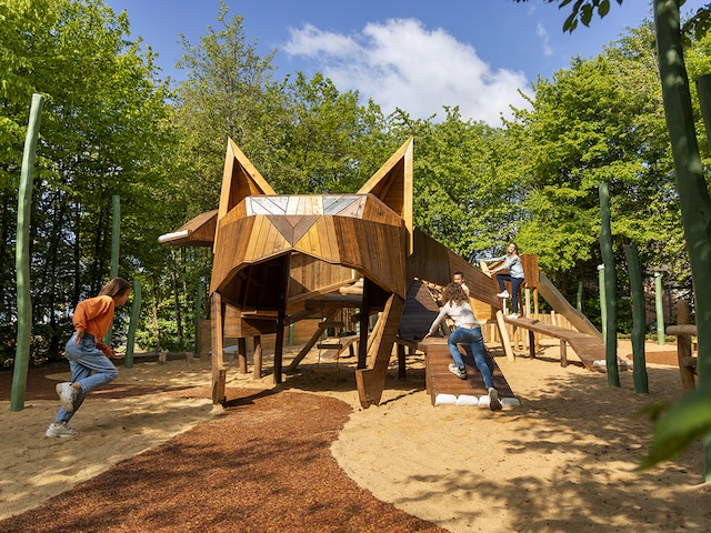 Games&Entertainment - activity zone at Center Parcs Park Eifel: Playground