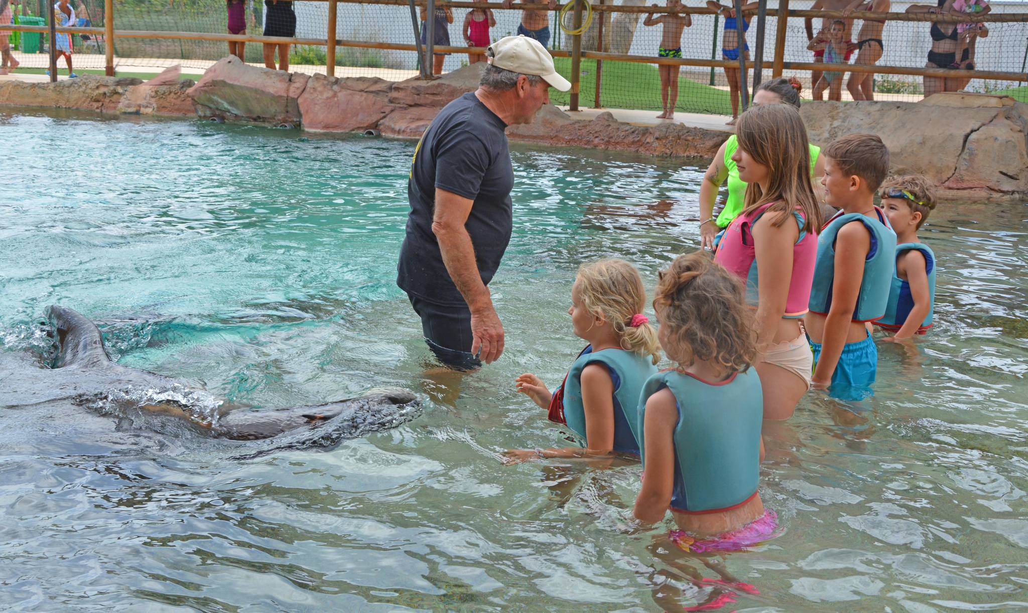 Sea Lions - activity zone at Aqua Natura Benidorm