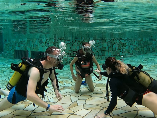 Diving - service area at Center Parcs De Huttenheugte: Introduction to Diving for Kids