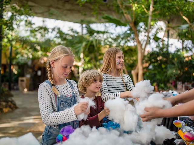 Workshop - service area at Center Parcs Les Ardennes: Making Stuffed Animals