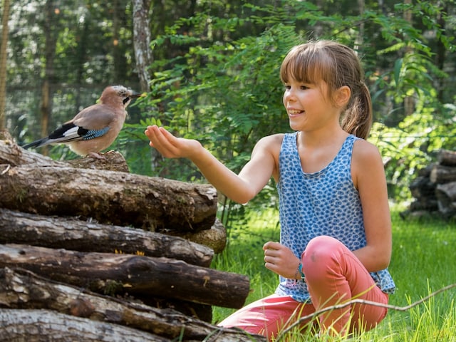 Closer to Nature - service area at Center Parcs Le Bois aux Daims: Discovering Birds
