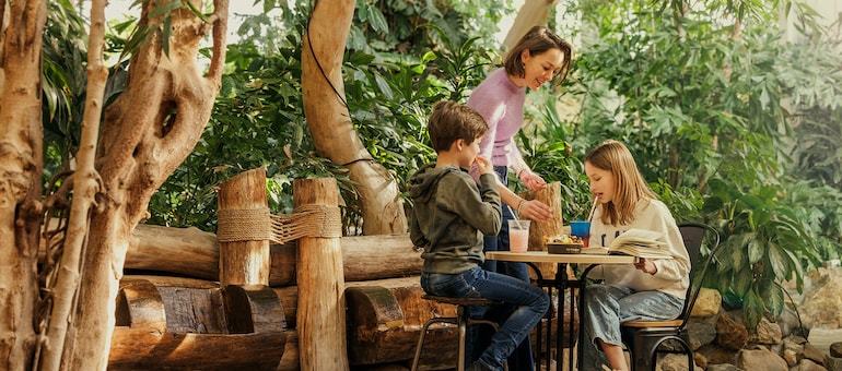 Snacks - restaurant (bistro) at Center Parcs Park Sandur