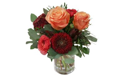 Individual Extras - service area at Rulantica