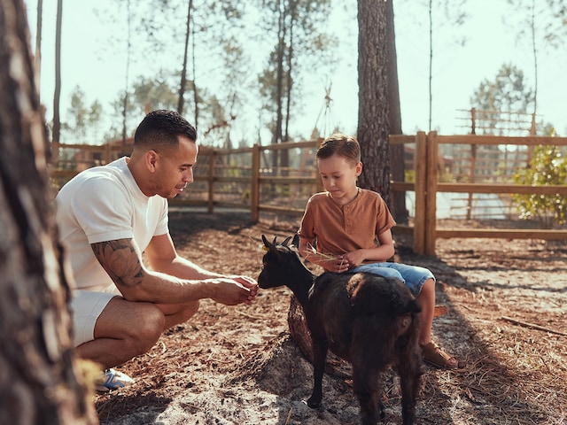 Nature Discovery - activity zone at Center Parcs Les landes de gascogne: The Children"s Farm
