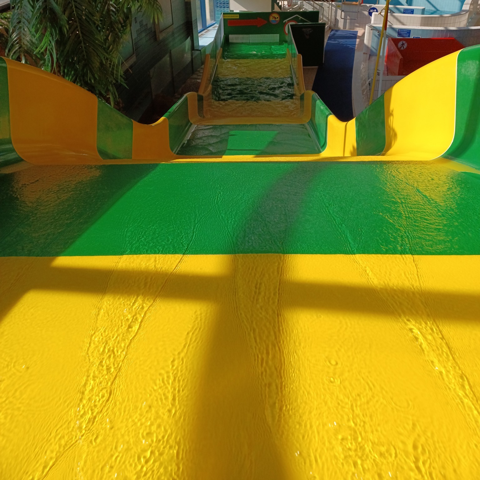 Alligator - water slide at Aquapark Kraków