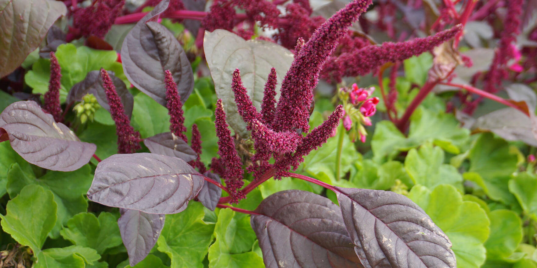 Cosmetic treatment - wellness area at Therme Bucharest