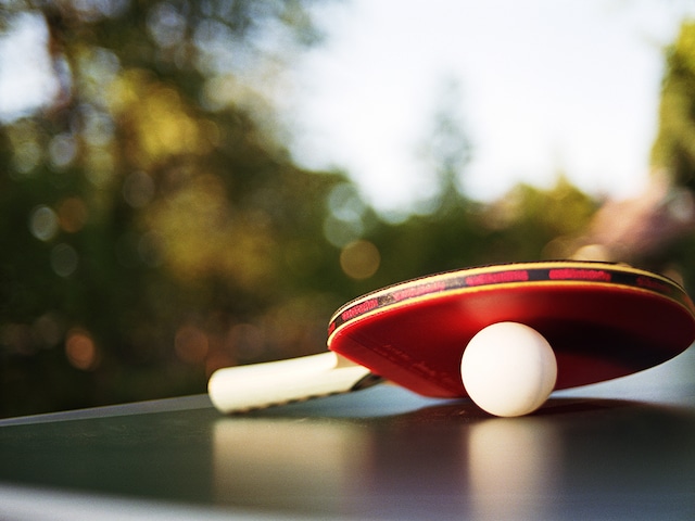 Games - activity zone at Center Parcs De Eemhof: Ping Pong (outdoor)