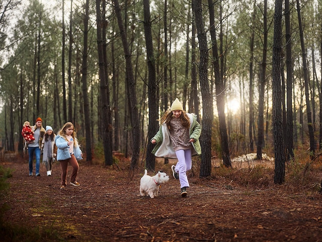 Closer to Nature - service area at Center Parcs Les trois forets: Let"s find out who"s behind this print
