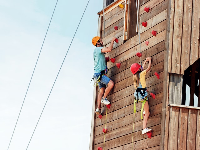 Outdoor activities - service area at Center Parcs Port Zélande: Wall climbing