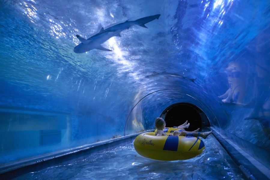 Shark Slide - water slide at Aquapark Reda