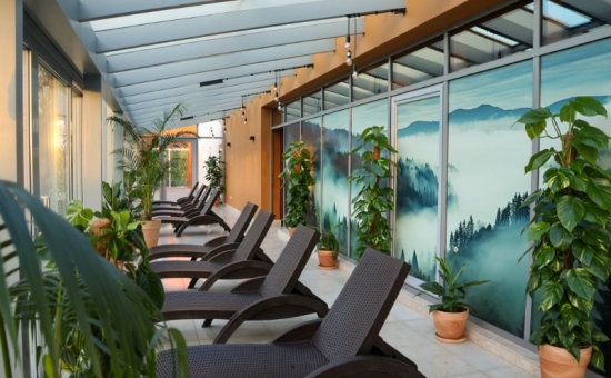 Winter Garden - wellness area at Aquapark Wrocław