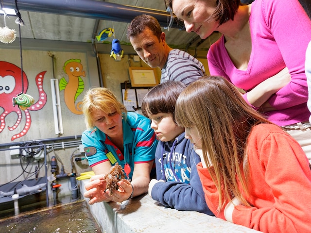 Park Discovery - service area at Center Parcs De Vossemeren