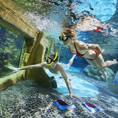 Aquapark Center Parcs De Kempervennen