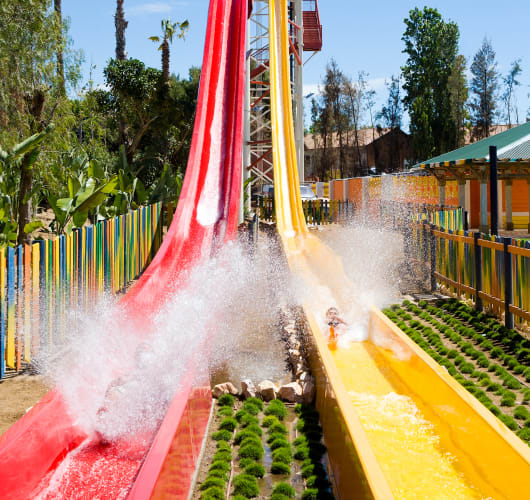 King Khajuna - water slide at PortAventura Caribe Aquatic Park