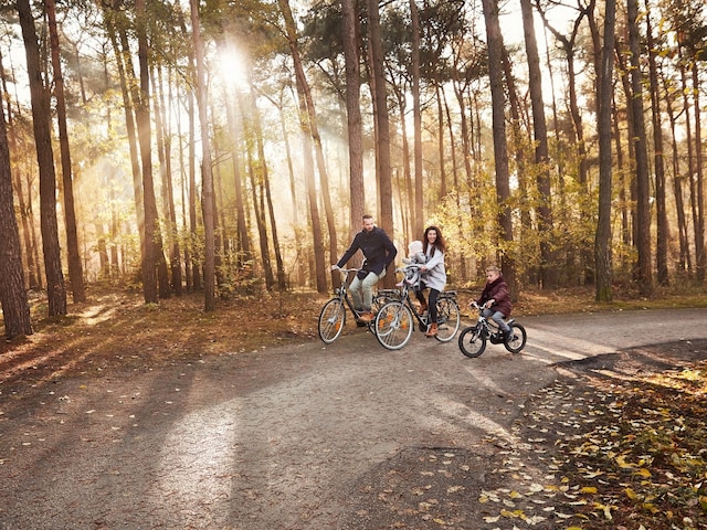 Bike Services - service area at Center Parcs Erperheide: E-Bikes