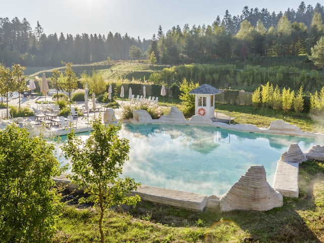 Outdoor Pool - swimming pool at Center Parcs Les trois forets